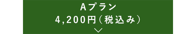 Aプラン